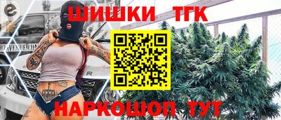МДПВ Дубна