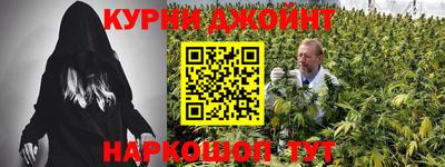 МДПВ Дубна