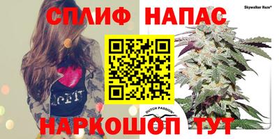 гашишное масло Заводоуковск