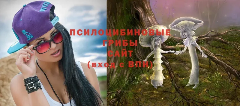 Галлюциногенные грибы Magic Shrooms  купить закладку  Киров 